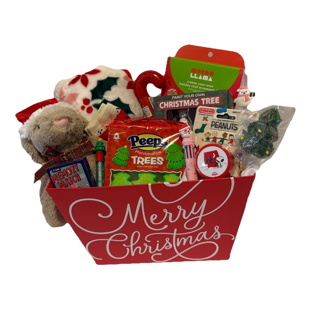 Kids Christmas Gift Basket Teddy Bear Blanket Crafts Candy Toy Holiday Present